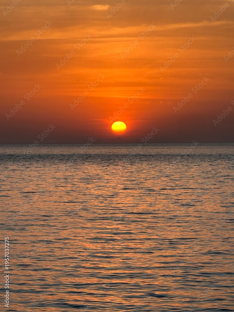 Fototapeta premium sunset over the sea