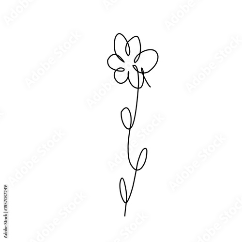 Minimalist one line flower drawing 