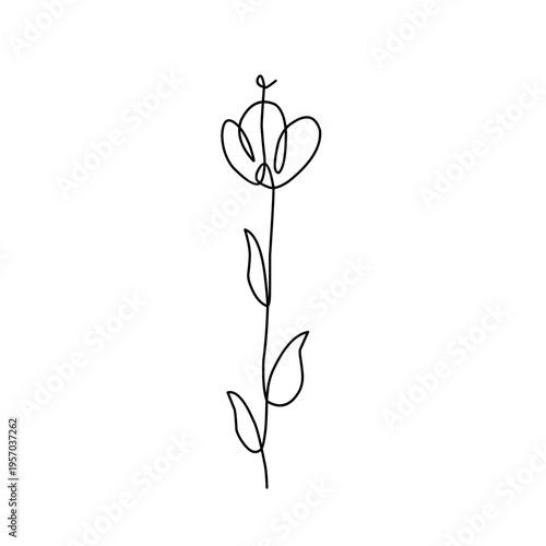 Minimalist one line flower drawing 
