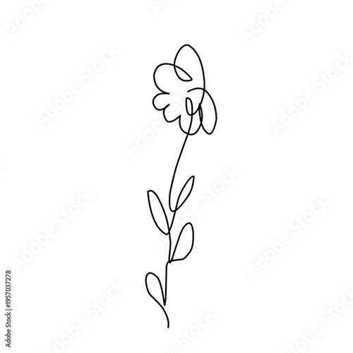 Minimalist one line flower drawing 