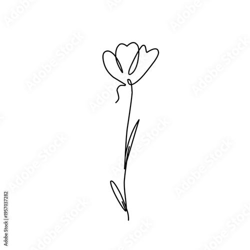 Minimalist one line flower drawing 