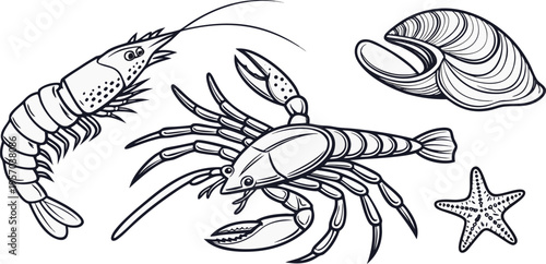 A detailed monochrome illustration featuring various marine creatures. The composition includes a shrimp in the upper left, angled toward the left, alongside a smaller shrimp in the middle, and a crab