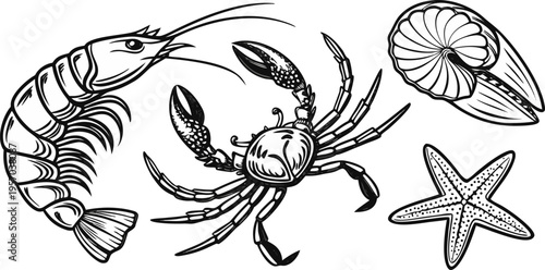 A detailed monochrome illustration featuring various marine creatures. The composition includes a shrimp in the upper left, angled toward the left, alongside a smaller shrimp in the middle, and a crab