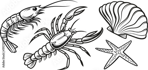 A detailed monochrome illustration featuring various marine creatures. The composition includes a shrimp in the upper left, angled toward the left, alongside a smaller shrimp in the middle, and a crab
