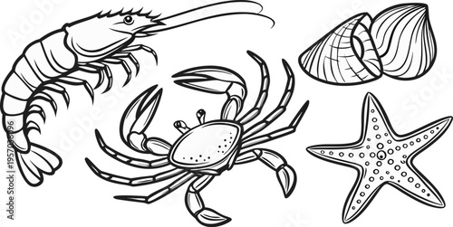 A detailed monochrome illustration featuring various marine creatures. The composition includes a shrimp in the upper left, angled toward the left, alongside a smaller shrimp in the middle, and a crab