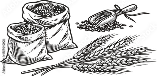 A detailed, black and white illustration of various agricultural elements is presented against a transparent background. Several sacks filled with grains are shown, one open and spilling its contents,