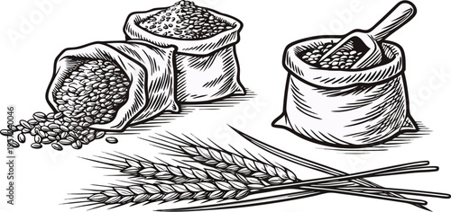 A detailed, black and white illustration of various agricultural elements is presented against a transparent background. Several sacks filled with grains are shown, one open and spilling its contents,