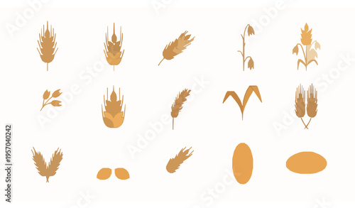 Flat grain icon set with wheat barley oat and malt for organic food bakery agriculture vector collection