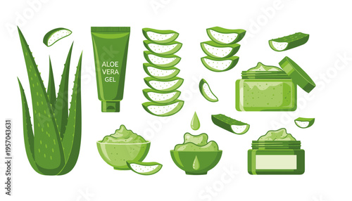 Professional Beauty Vector Illustration Set Featuring Fresh Aloe Vera Leaves Gel Tubes and Cream Jars for Herbal Skincare Branding