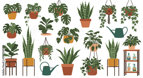 Collection of various potted houseplants including snake plants monstera and fiddle leaf figs arranged in a colorful assortment with watering cans and shelves