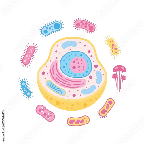Microscopic organisms surrounding a human cell illustration