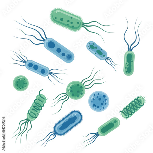 Diverse Bacteria Cells with Flagella, Microscopic Organisms, Biology Science Illustration