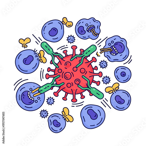Immune system fighting virus and bacteria with white blood cells