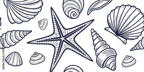 A detailed, monochrome line art illustration showcases a collection of various seashells and starfish. The image presents a variety of sizes, shapes, and textures of marine life, including spiral shel