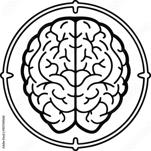 A detailed, top-down illustration of a human brain, centered in the frame. The brain is depicted in stark black lines on a transparent background, showcasing a highly detailed anatomical rendering. Th