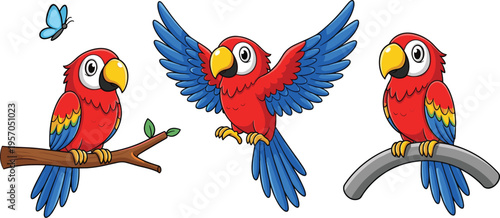 Colorful parrot characters set with flying and sitting tropical birds cartoon vector illustration collection