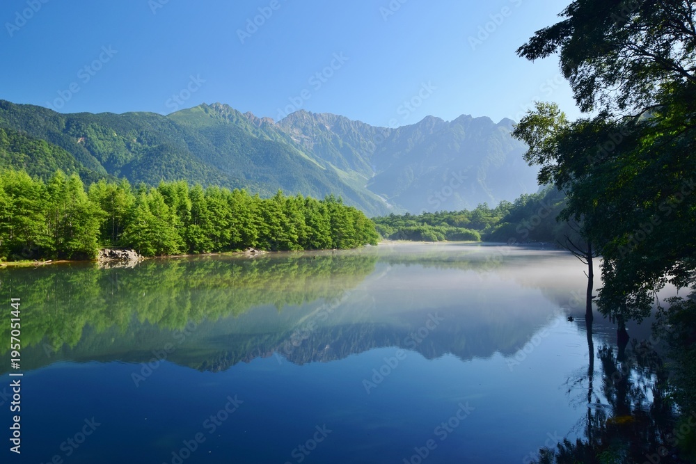 custom made wallpaper toronto digital新緑につつまれる上高地・大正池