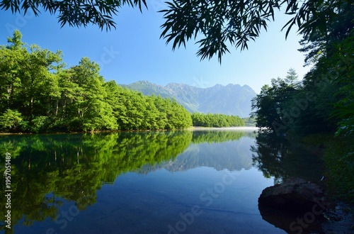 Wallpaper Mural 新緑につつまれる上高地・大正池 Torontodigital.ca