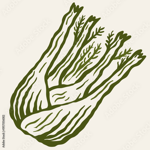 Vintage hand drawn fennel bulb vector illustration in rustic woodcut botanical line art style on beige background.