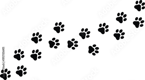 A trail of animal paw prints on a white background possibly from a dog or cat leading upwards to the right side