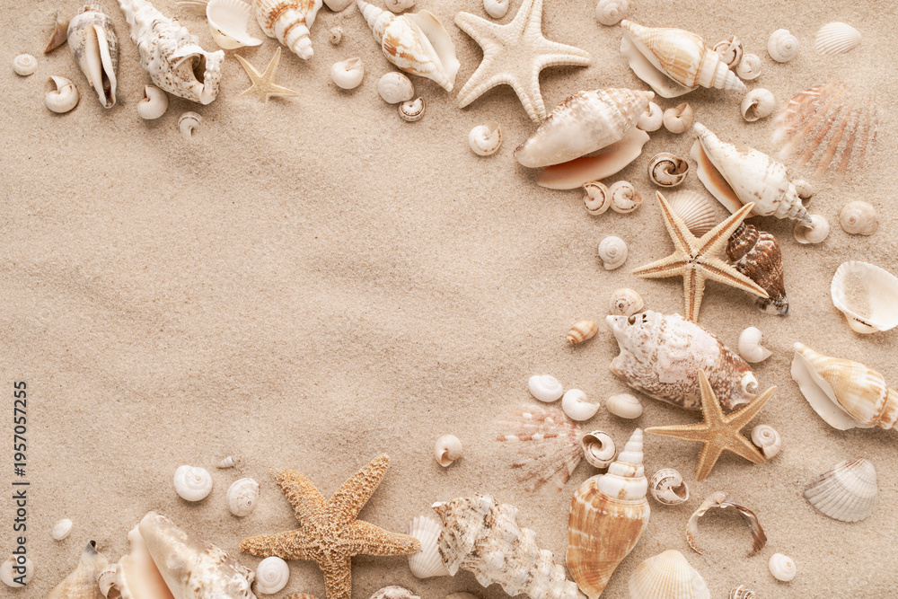 Fototapeta premium Exotic collections of white and beige seashells and starfish on sand background for aesthetic summer and vacation card. Flat lay style