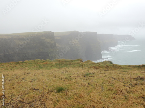 Misty morning - Cliffs of Moher