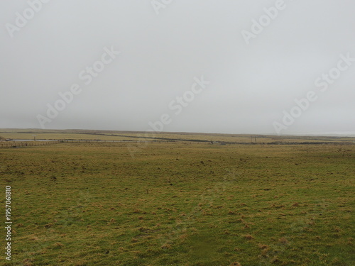Misty morning in the field - Ireland