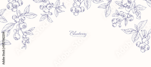 Background with blueberry berry and brunch. Detailed hand drawn ink floral illustration for invitation, wallpaper art or save the date card
