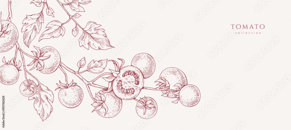 Obraz premium Background with tomatoes brunch and leaves. Detailed hand drawn ink illustration for template layout design, brochure or cover for food card or menu