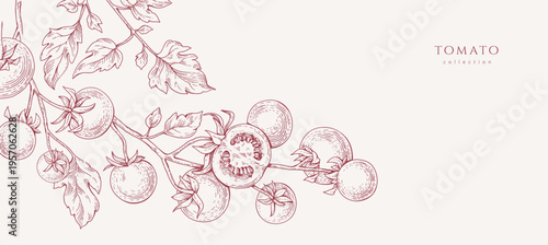 Background with tomatoes brunch and leaves. Detailed hand drawn ink illustration for template layout design, brochure or cover for food card or menu