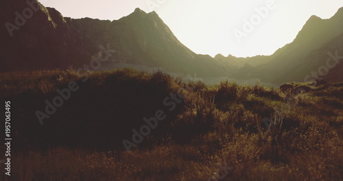 Photos Lush greenery fills the foreground as golden sunlight bathes the mountains during the golden hour