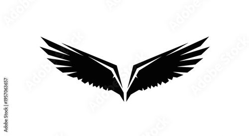 Black silhouette of outstretched wings on a white background.