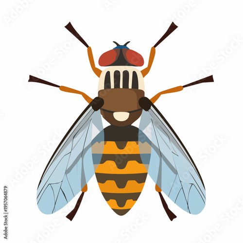 Bee holding pollen while resting on a white background during daytime in a still position