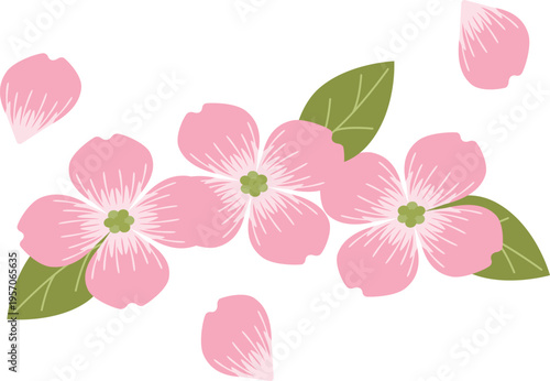 ハナミズキのアイコン