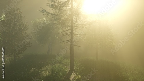 Golden sunlight filters through a dense fog in a tranquil forest, casting an ethereal glow on the trees and lush greenery. Nature embraces a moment of peaceful serenity.