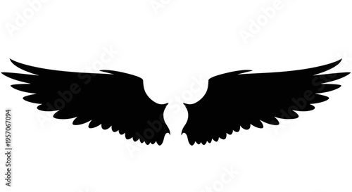 Black silhouette of outstretched wings on a white background.