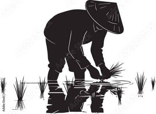 Rice farmer planting in water vector silhouette illustration traditional agriculture working