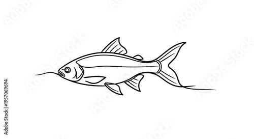 Detailed Hand Drawn Fish Line Art Illustration in Black and White