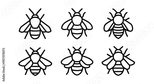 Simple line drawing of six bees arranged in a grid pattern