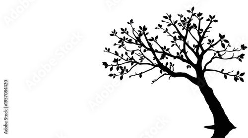 Tree Silhouette with Branches and Leaves Against a Transparent Background
