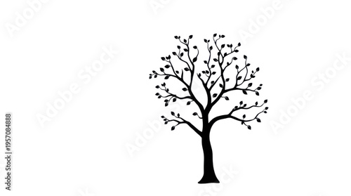 Tree Silhouette with a Gentle Glowing Orb in Dark Nighttime Woods