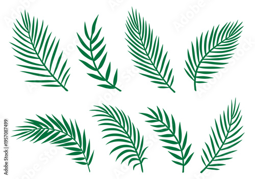 Tropical drawn set palm leaves and branches isolated silhouettes