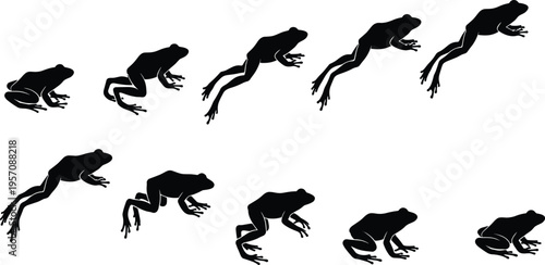 Sequence of black frog silhouettes showing jumping motion, leaping cycle, and movement stages from sitting to mid-air, isolated on white background.