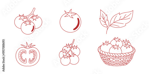 A collection of red line art illustrations depicting fresh tomatoes and leaves in various forms Vector