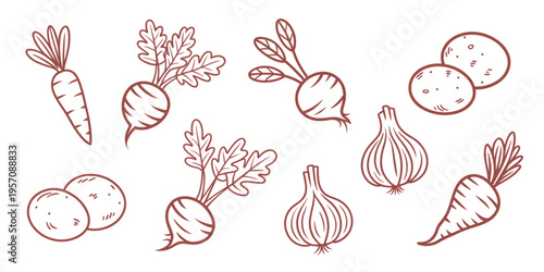 A collection of hand drawn vegetable illustrations featuring carrots, potatoes, radishes and onions Vector