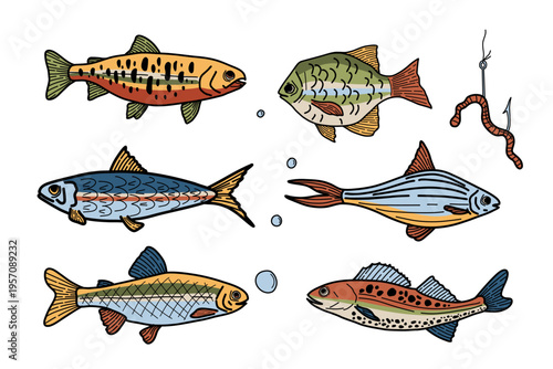 Ink fish collection doodle clipart. Hand drawn trout, sardine, salmon, anchovy, bass vector set. Trendy colored fish illustration isolated on white background.