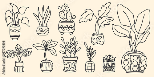 Indoor plant in pot set, doodle sketch style. Various flowers and houseplants in clay pots, hand drawn black outline illustrations. Home decor elements, coziness, atmosphere, vector graphic