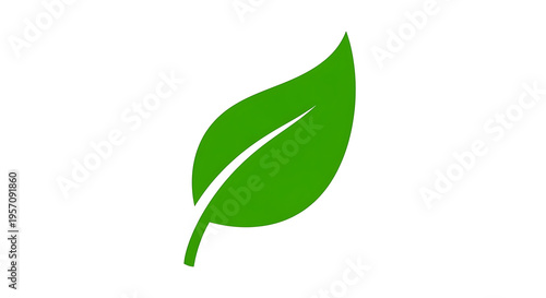A single bright green leaf with a stem on a plain white background in a simple graphic design style