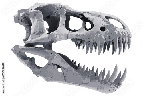 Isolated white skeleton of a dead dinosaur skull showing sharp teeth and powerful predator jaws from a wild prehistoric monster.