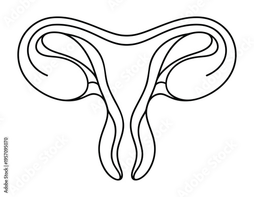 Minimal Uterus Anatomy Line Art Vector Illustration – Female Reproductive System Outline Medical Design